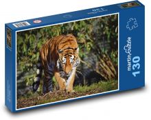 Tygr, velká kočka Puzzle 130 - 28,7x20 cm