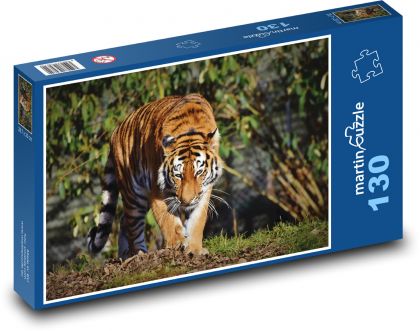 Tiger, große Katze - Puzzle - 130 Teile