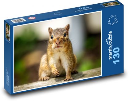 Hlodavec, veverička - Puzzle 130 dielikov, rozmer 28,7x20 cm 