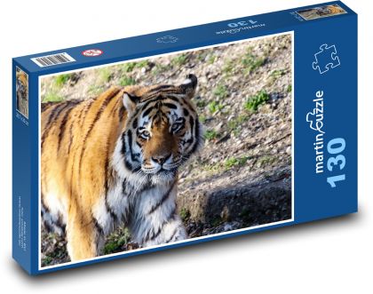 Tiger na prechádzke - Puzzle 130 dielikov, rozmer 28,7x20 cm 