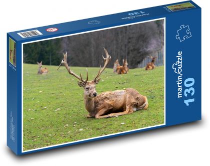 Hirsch auf der Wiese - Puzzle - 130 Teile