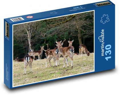 Daněk evropský - puzzle 130 dílků