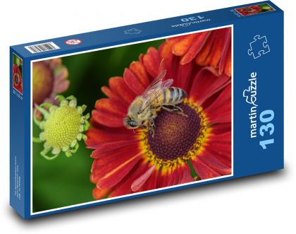 Květiny - včela, opýlení - Puzzle 130 dílků, rozměr 28,7x20 cm