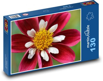 Czerwone dalie - Puzzle 130 elementów, rozmiar 28,7x20 cm