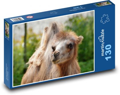 Velbloud  - puzzle 130 dílků