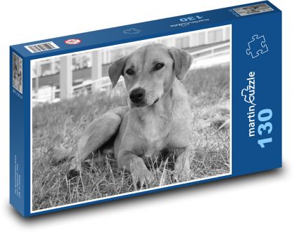 Hund auf Gras - Puzzle - 130 Teile