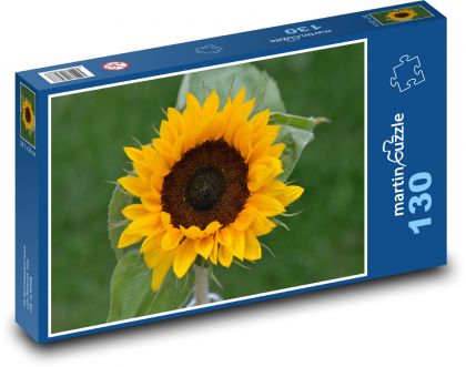 Slunečnice - květ, žlutá - Puzzle 130 dílků, rozměr 28,7x20 cm