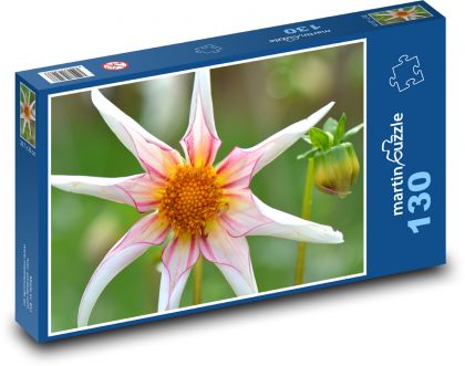 Jiřina - květ, příroda - Puzzle 130 dílků, rozměr 28,7x20 cm