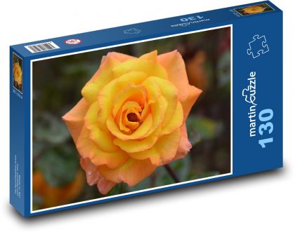 Růže - žlutá, květ - Puzzle 130 dílků, rozměr 28,7x20 cm