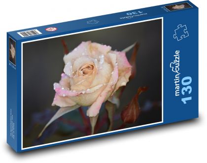 Rose - Blume, Natur - Puzzle - 130 Teile