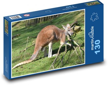 Kangaroo - mammal, animal - Puzzle 130 pieces, size 28.7x20 cm 