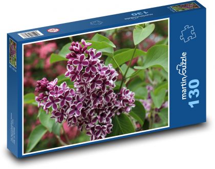 Orgován - kvet, ker - Puzzle 130 dielikov, rozmer 28,7x20 cm 