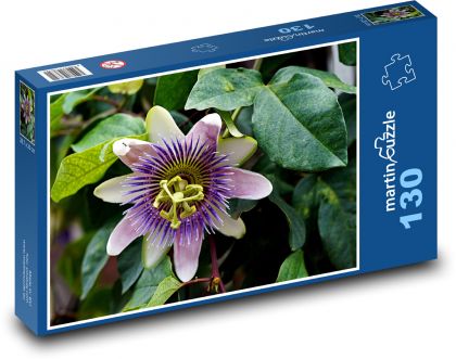 Mučenka - fialový květ - Puzzle 130 dílků, rozměr 28,7x20 cm