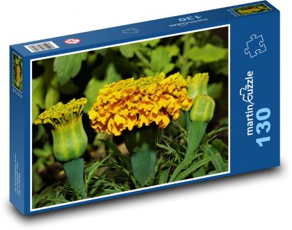 Květina - americký měsíček - Puzzle 130 dílků, rozměr 28,7x20 cm