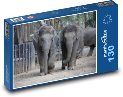 Indie - sloni, savci - Puzzle 130 dílků, rozměr 28,7x20 cm