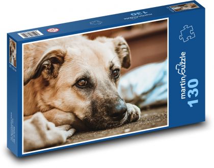 Pies na ulicy - Puzzle 130 elementów, rozmiar 28,7x20 cm