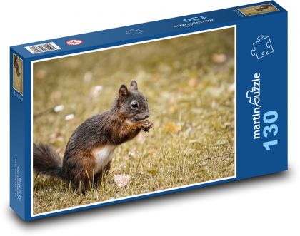 A squirrel in the grass. - Puzzle 130 pieces, size 28.7x20 cm 