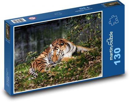 Tiger v tráve - Puzzle 130 dielikov, rozmer 28,7x20 cm 