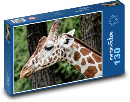 Giraffe in the zoo - Puzzle 130 pieces, size 28.7x20 cm 