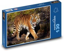 Tygr na procházce Puzzle 130 - 28,7x20 cm