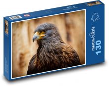 Káně - dravec, pták Puzzle 130 dílků - 28,7 x 20 cm