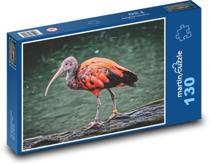 Ibis - vták, mláďa - Puzzle 130 dielikov, rozmer 28,7x20 cm 