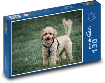 Pudel - Hund, häuslich - Puzzle - 130 Teile