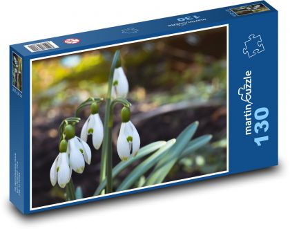 Sněženky - jarní květiny - puzzle 130 dílků