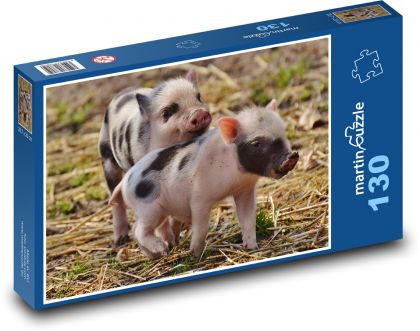Ferkel, Jungtiere, Schweine - Puzzle - 130 Teile