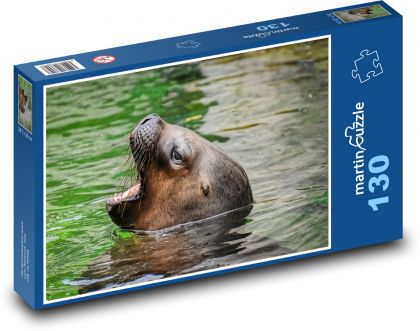 Seelöwe - Tier, Natur - Puzzle - 130 Teile
