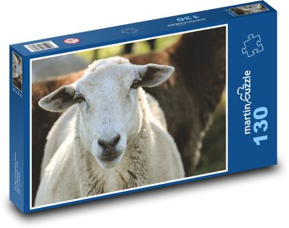 Sheep - animal, pasture - Puzzle 130 pieces, size 28.7x20 cm 