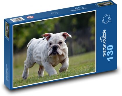 Bulldog - puppy, dog - Puzzle 130 pieces, size 28.7x20 cm 