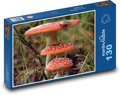 Muchomůrka, červená, houba, les - Puzzle 130 dílků, rozměr 28,7x20 cm