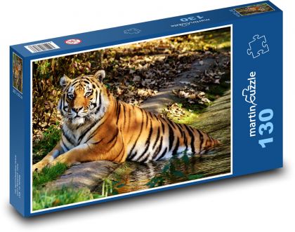 Tiger vo vode - divoká mačka - Puzzle 130 dielikov, rozmer 28,7x20 cm 