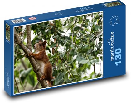 Veverička - hlodavec, zviera - Puzzle 130 dielikov, rozmer 28,7x20 cm 