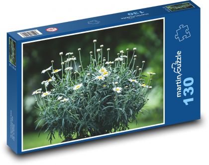 Daisies - flowers, garden - Puzzle 130 pieces, size 28.7x20 cm 