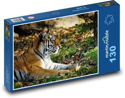 Tiger - big cat - Puzzle - 130 Teile