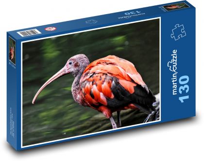 Ibis - jung, Vogel - Puzzle - 130 Teile
