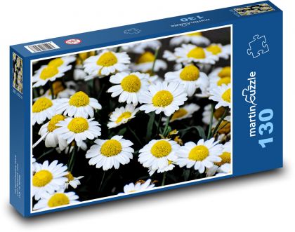 Sedmikráska - květiny, louka - Puzzle 130 dílků, rozměr 28,7x20 cm