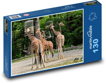 Giraffen - wildes Tier, Afrika - Puzzle - 130 Teile