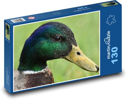 Kačer - vodní pták - puzzle 130 dílků