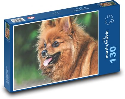 Trpasličí špic - pes, domácí zvíře - Puzzle 130 dílků, rozměr 28,7x20 cm