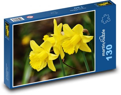 Narcisy - jaro, květ - Puzzle 130 dílků, rozměr 28,7x20 cm