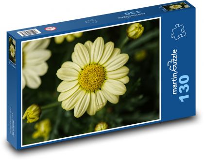 Sedmikrásky - žlutý květ, léto - Puzzle 130 dílků, rozměr 28,7x20 cm