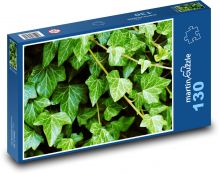 Efeu - Pflanze, Garten Puzzle 130 Teile - 28,7x20 cm