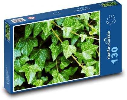 Efeu - Pflanze, Garten - Puzzle - 130 Teile