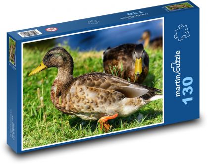 Wild duck - bird, nature - Puzzle 130 pieces, size 28.7x20 cm 
