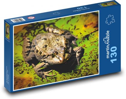 Žába - rybník, zvíře - Puzzle 130 dílků, rozměr 28,7x20 cm