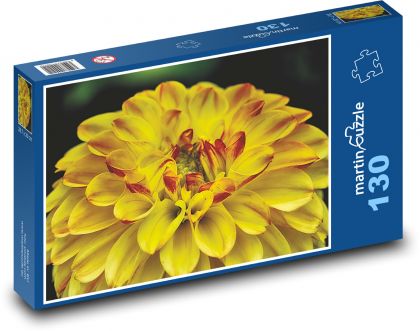 Žlutá jiřina - zahradní květina - Puzzle 130 dílků, rozměr 28,7x20 cm