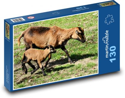 Ovce - jahňa, mláďa - Puzzle 130 dielikov, rozmer 28,7x20 cm 